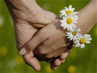День семьи, любви и верности | фото с сайта www.tsogu.ru
