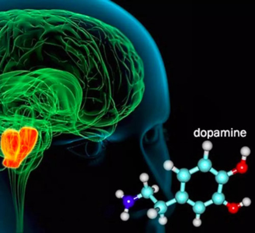 Дофаминовый детокс — обман, в который хотят верить люди