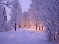 Какую погоду обещают синоптики в декабре | Фото с сайта fotki.yandex.ru