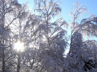 Казахстанский полюс холода | Фото с сайта fotki.yandex.ru