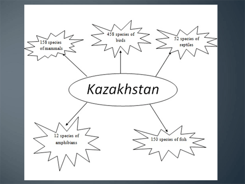 Презентация «Kazakhstan»