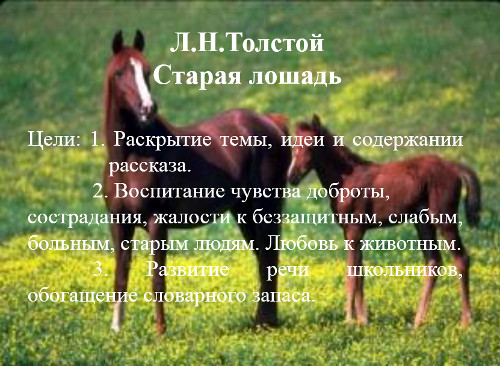 Презентация «Л. Н. Толстой. Старая лошадь»