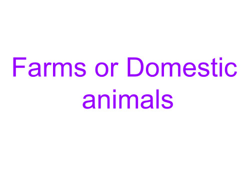 Презентация «Domestic and wild animals» 